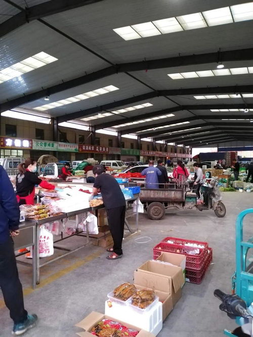 中貿(mào)農(nóng)產(chǎn)品綜合批發(fā)市場 從基地到市場，蔬菜區(qū)一站式采購與每日參考價解析
