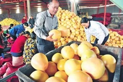 厲害了！湖北19個特產受國家保護，以你家鄉命名食用農產品批發